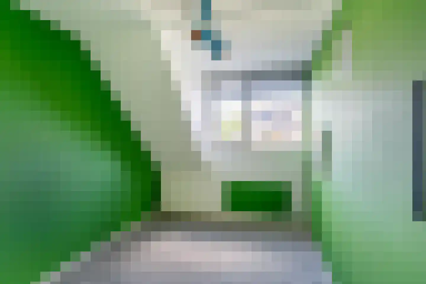 Dreeslaan 10 Naaldwijk thumbnail 27