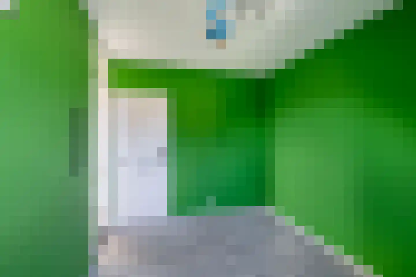 Dreeslaan 10 Naaldwijk thumbnail 28