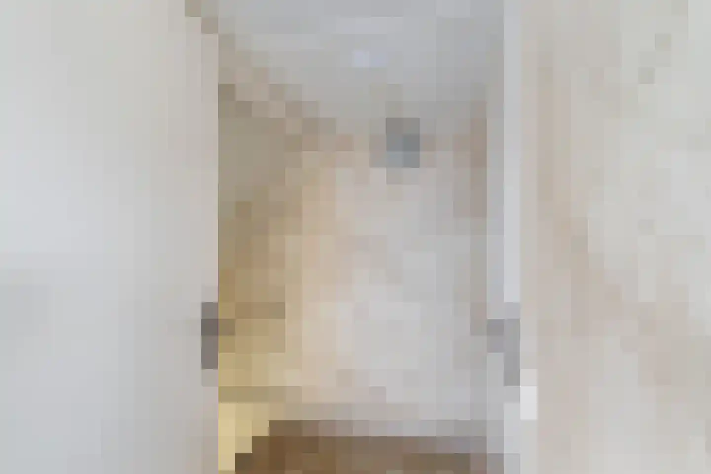Dreeslaan 10 Naaldwijk thumbnail 29