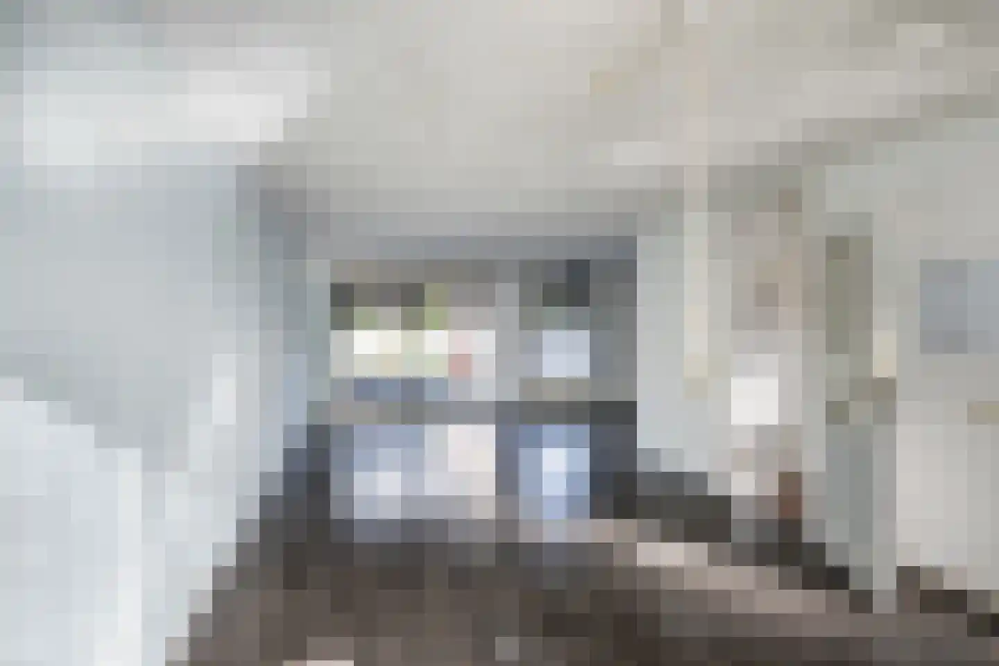 Dreeslaan 10 Naaldwijk foto 3