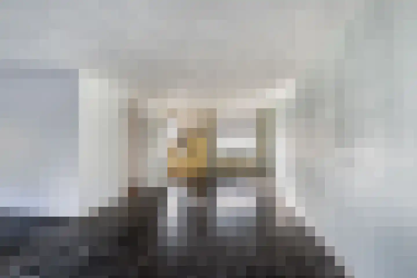 Dreeslaan 10 Naaldwijk thumbnail 4