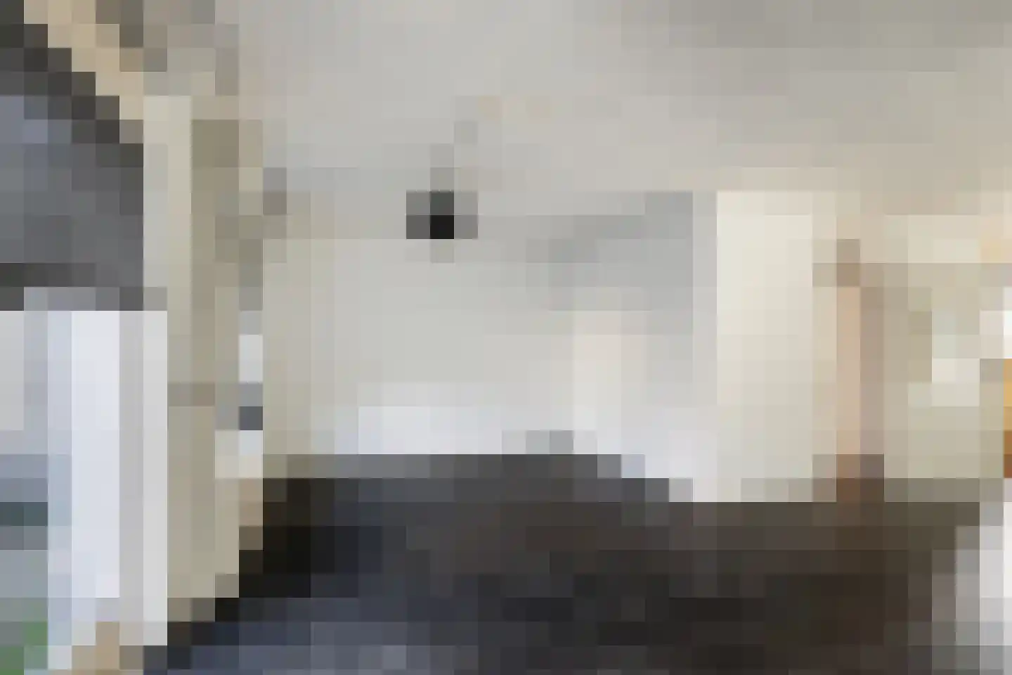 Dreeslaan 10 Naaldwijk thumbnail 5