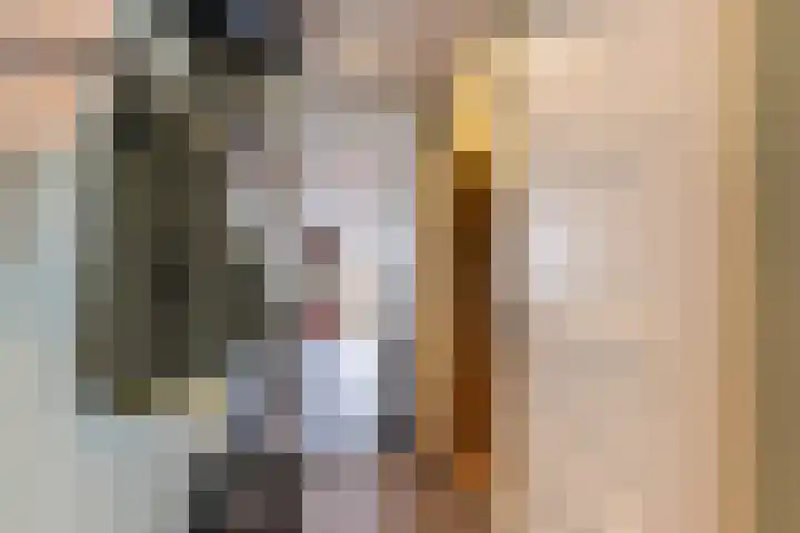 Dreeslaan 102 Naaldwijk thumbnail 11