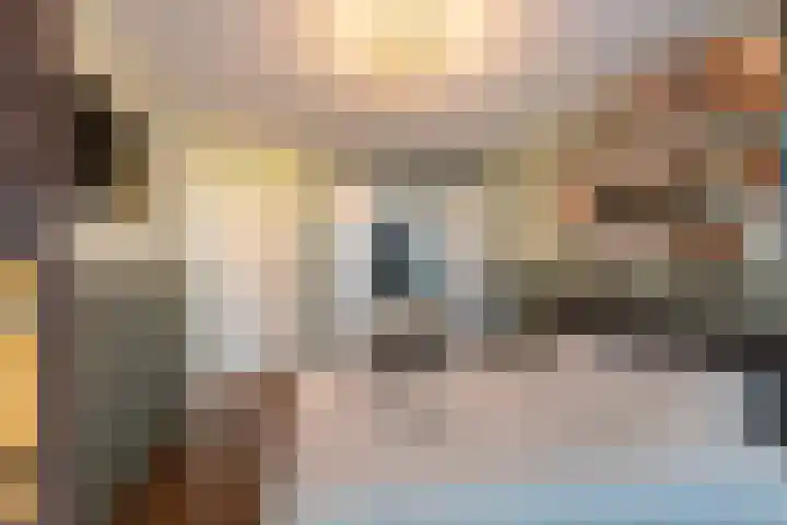 Dreeslaan 102 Naaldwijk thumbnail 13
