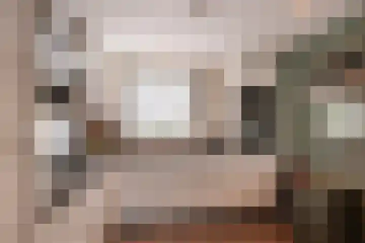 Dreeslaan 102 Naaldwijk thumbnail 4