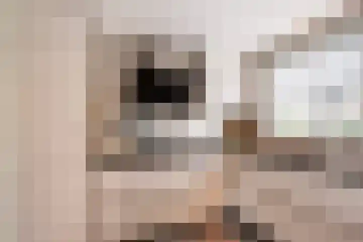 Dreeslaan 102 Naaldwijk thumbnail 5