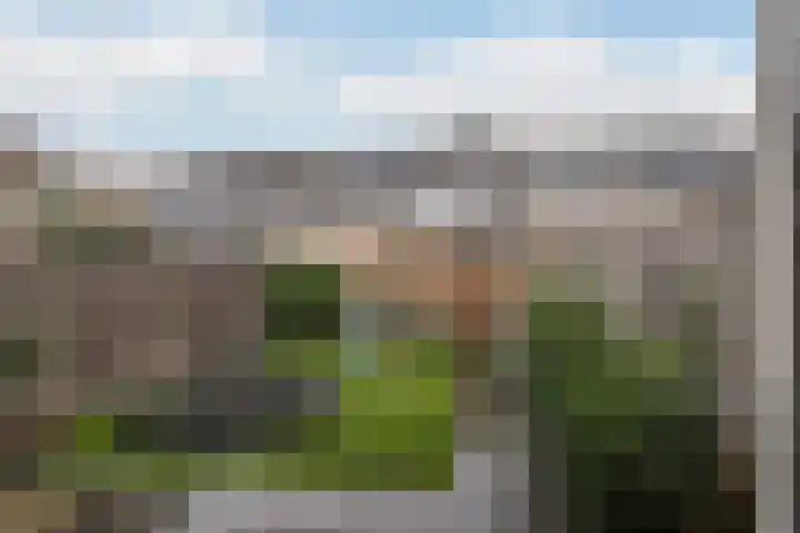 Dreeslaan 102 Naaldwijk thumbnail 8