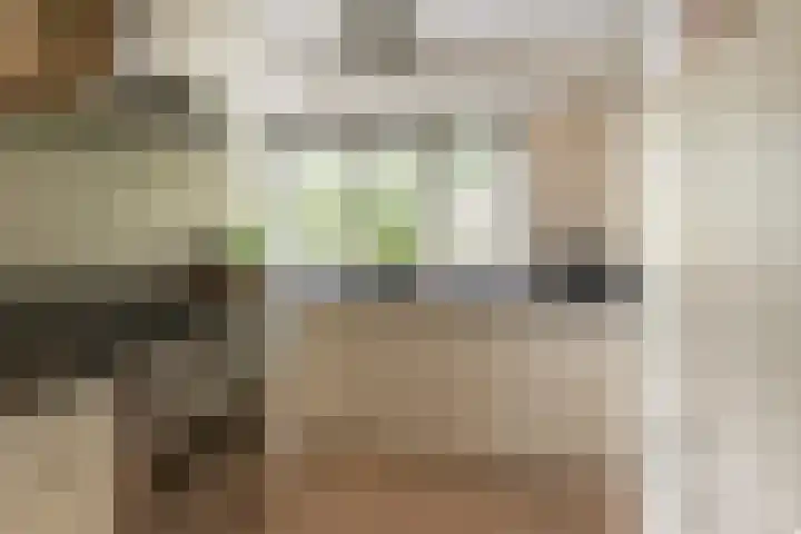 Dreeslaan 114 Naaldwijk thumbnail 11