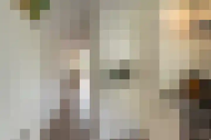 Dreeslaan 114 Naaldwijk thumbnail 13