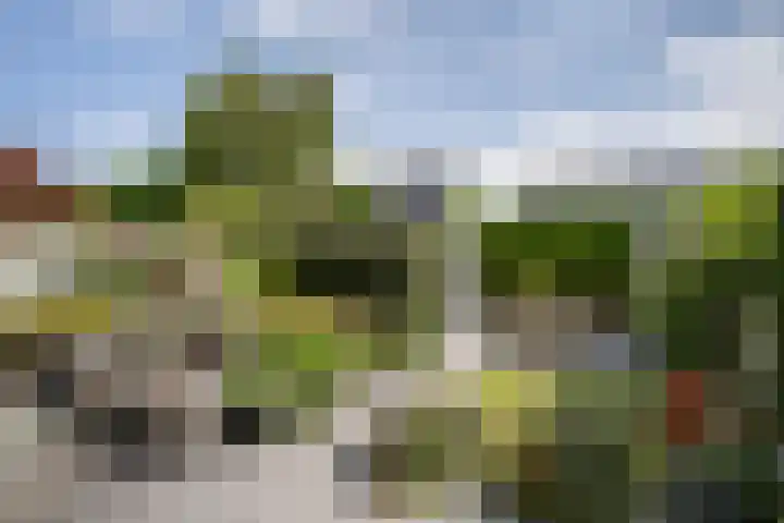 Dreeslaan 114 Naaldwijk thumbnail 14