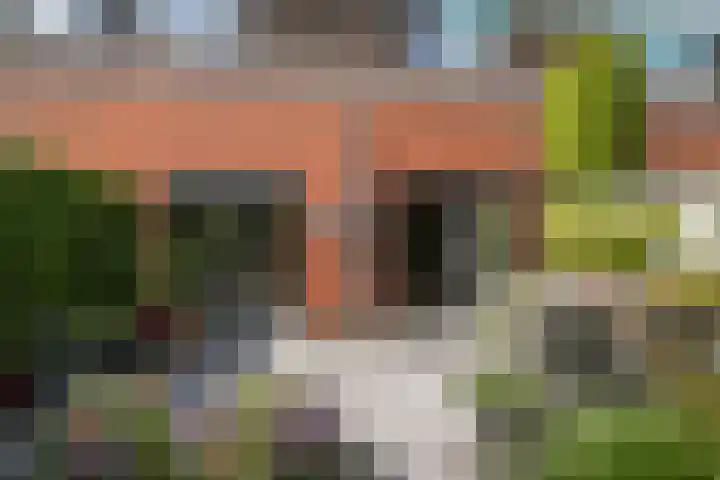 Dreeslaan 114 Naaldwijk thumbnail 16