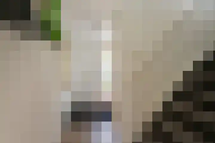 Dreeslaan 114 Naaldwijk thumbnail 17