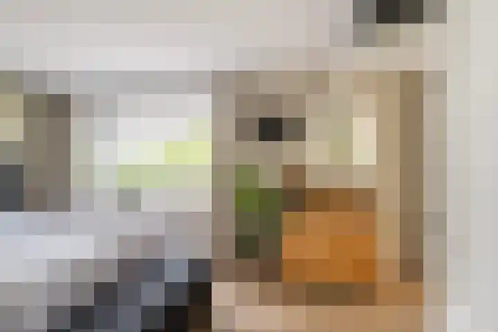 Dreeslaan 114 Naaldwijk thumbnail 20