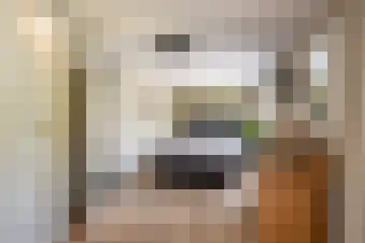 Dreeslaan 114 Naaldwijk thumbnail 21