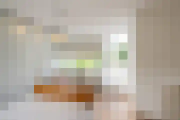 Dreeslaan 114 Naaldwijk thumbnail 33