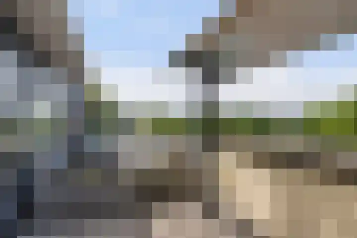 Dreeslaan 114 Naaldwijk thumbnail 36