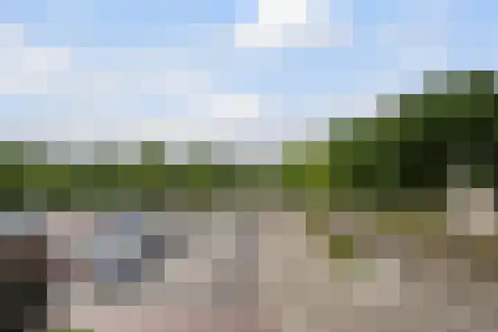 Dreeslaan 114 Naaldwijk thumbnail 37