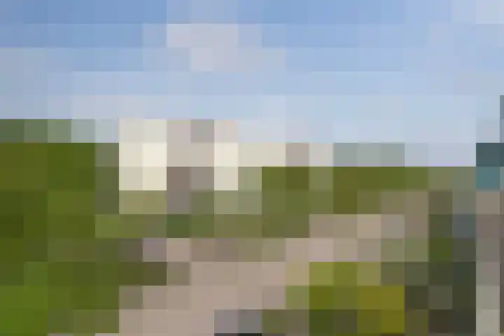 Dreeslaan 114 Naaldwijk thumbnail 38