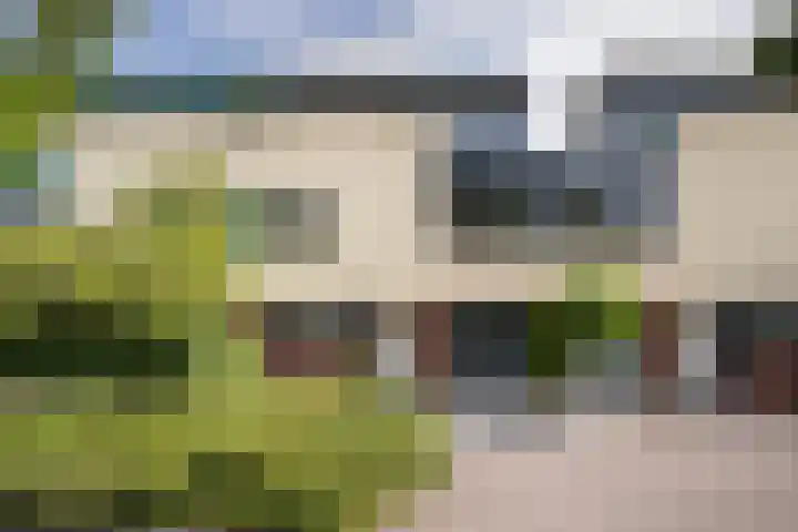 Dreeslaan 114 Naaldwijk thumbnail 41