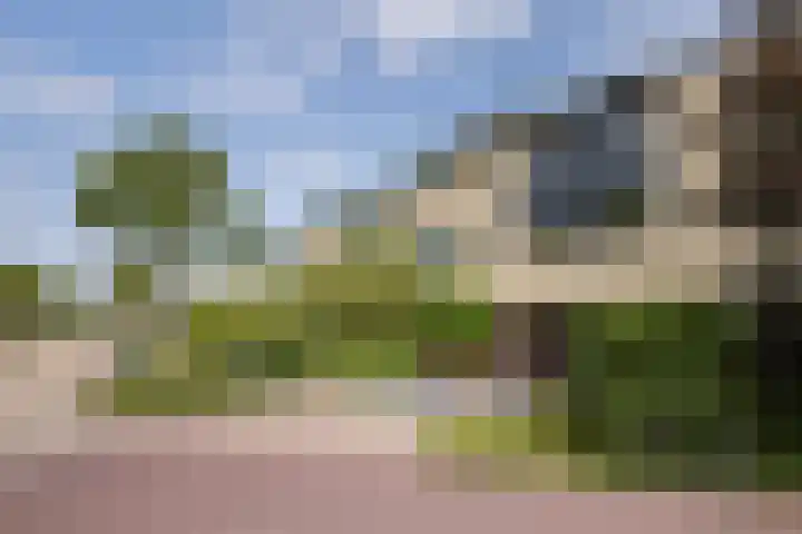 Dreeslaan 114 Naaldwijk thumbnail 42