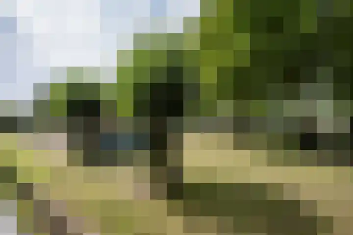 Dreeslaan 114 Naaldwijk thumbnail 43