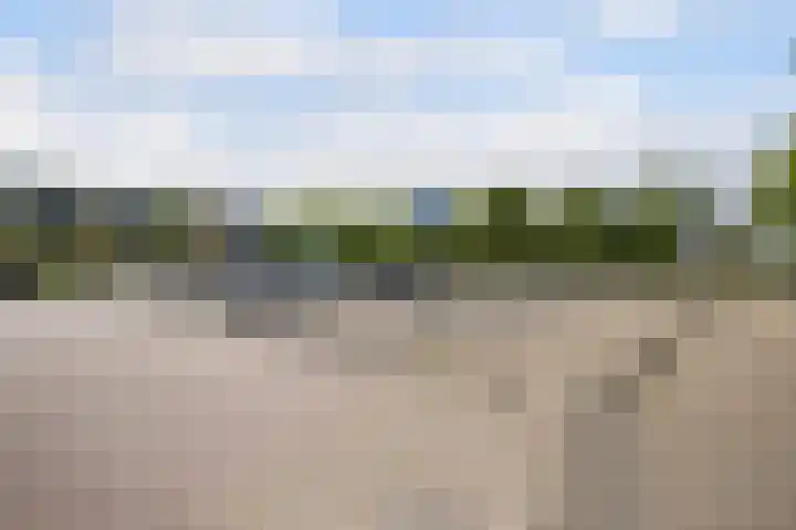 Dreeslaan 114 Naaldwijk thumbnail 44