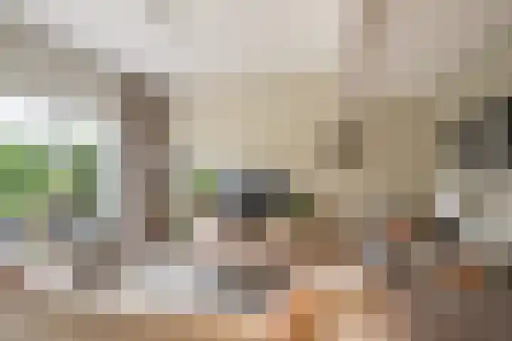 Dreeslaan 114 Naaldwijk thumbnail 5