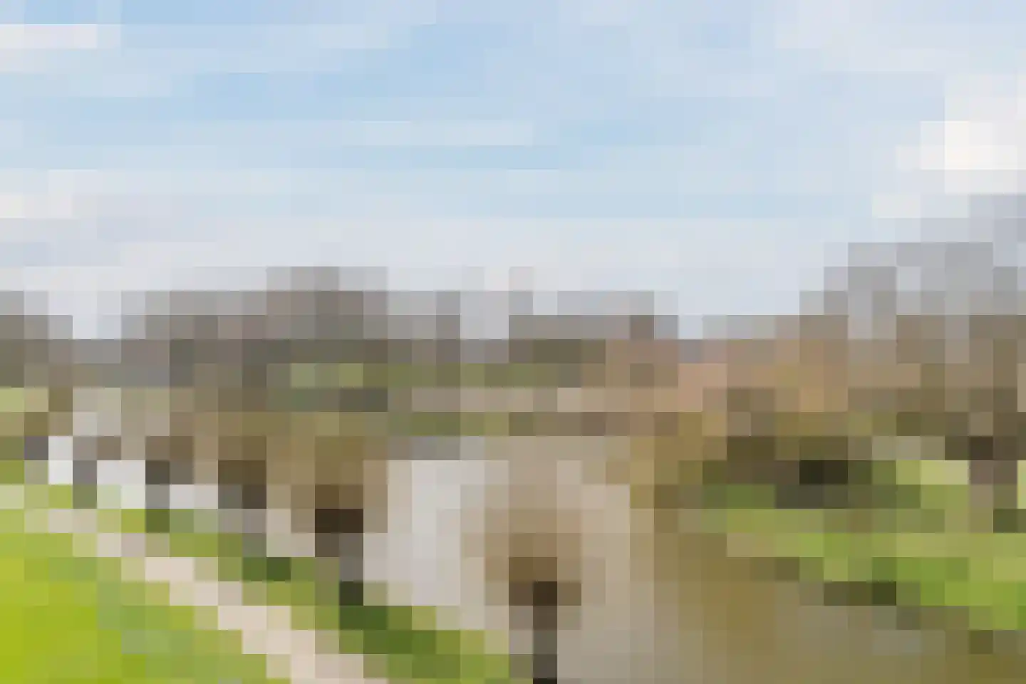 Dreeslaan 151 Naaldwijk thumbnail 18