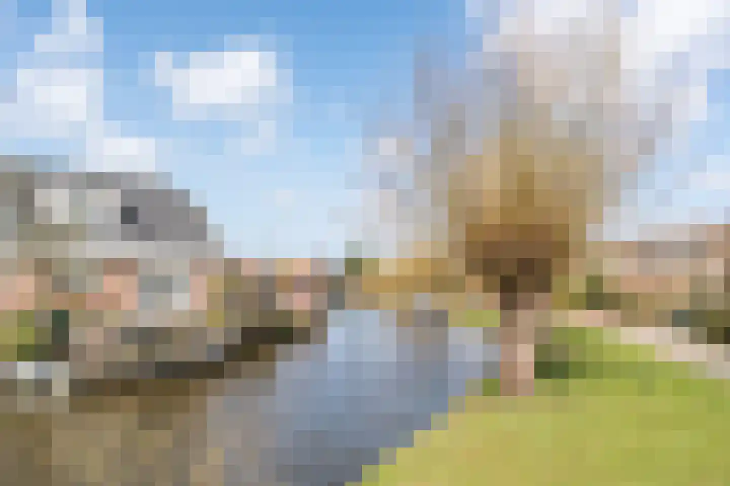 Dreeslaan 151 Naaldwijk thumbnail 32