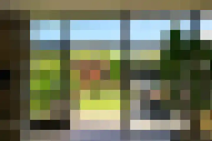 Dreeslaan 154 Naaldwijk thumbnail 15