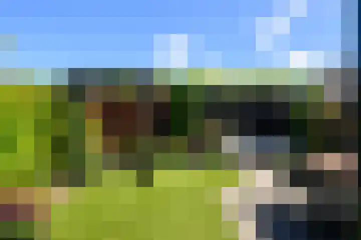 Dreeslaan 154 Naaldwijk thumbnail 16
