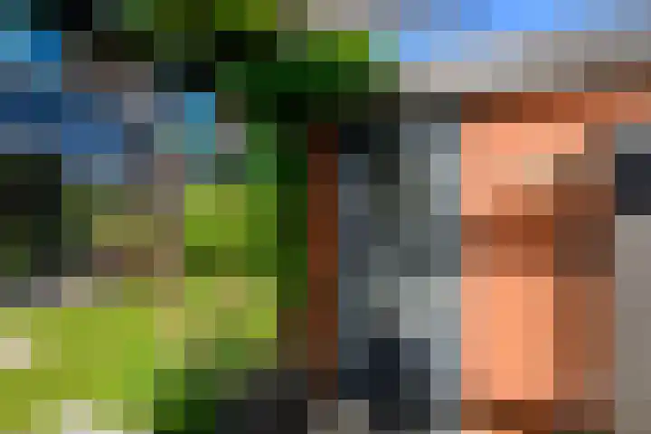 Dreeslaan 154 Naaldwijk thumbnail 17