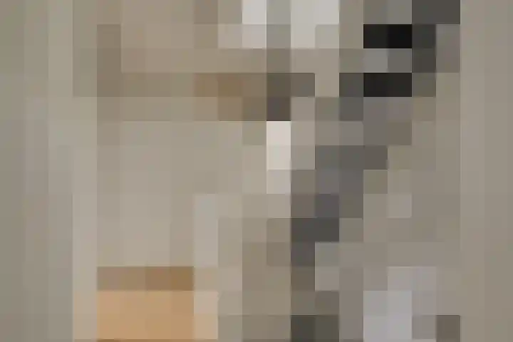Dreeslaan 154 Naaldwijk thumbnail 23