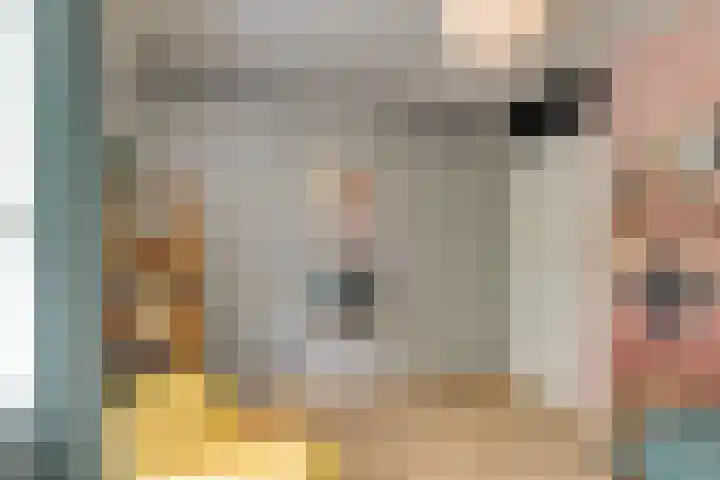 Dreeslaan 154 Naaldwijk thumbnail 26