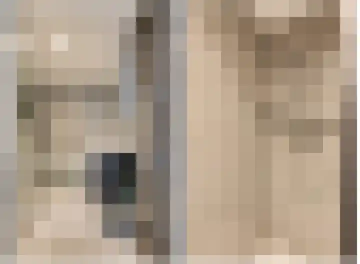 Dreeslaan 154 Naaldwijk thumbnail 28