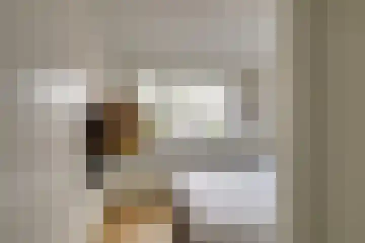 Dreeslaan 154 Naaldwijk thumbnail 32