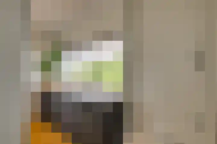 Dreeslaan 154 Naaldwijk thumbnail 38