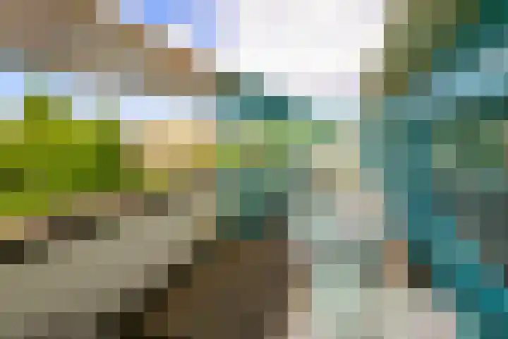 Dreeslaan 154 Naaldwijk thumbnail 40