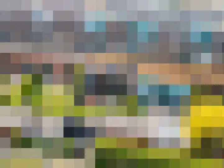 Dreeslaan 154 Naaldwijk thumbnail 43