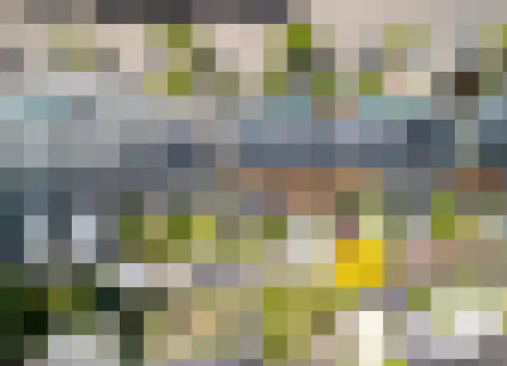 Dreeslaan 154 Naaldwijk thumbnail 44