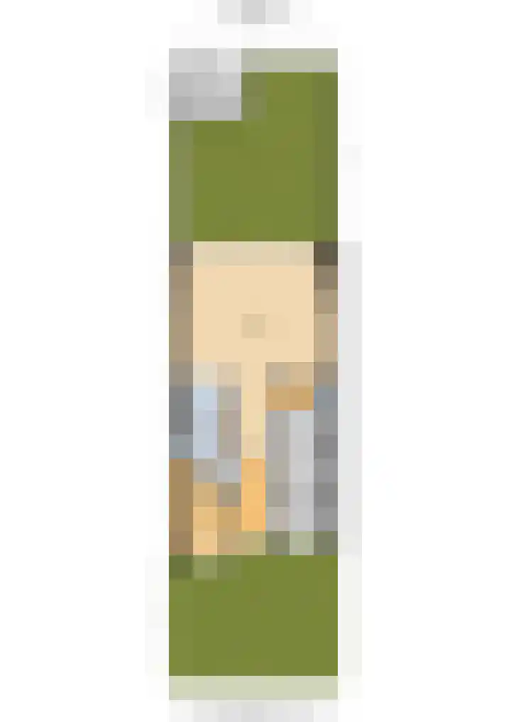 Dreeslaan 154 Naaldwijk thumbnail 46
