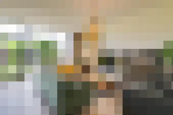 Dreeslaan 154 Naaldwijk thumbnail 6