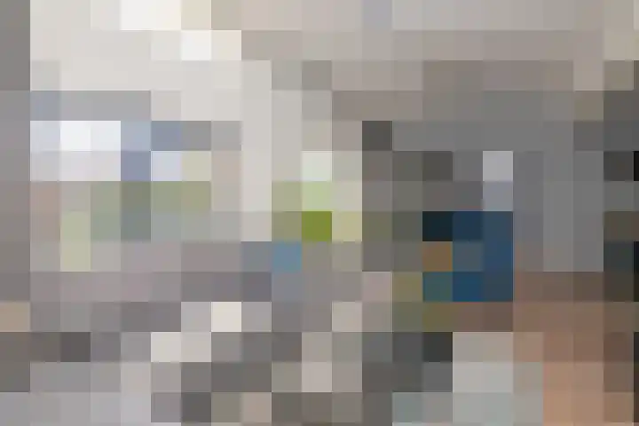 Dreeslaan 164 Naaldwijk thumbnail 11