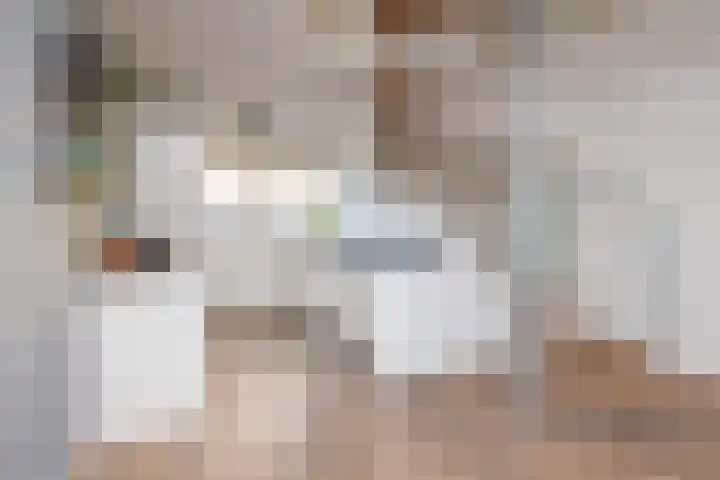 Dreeslaan 164 Naaldwijk thumbnail 16