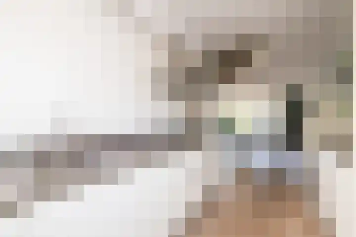 Dreeslaan 164 Naaldwijk thumbnail 17
