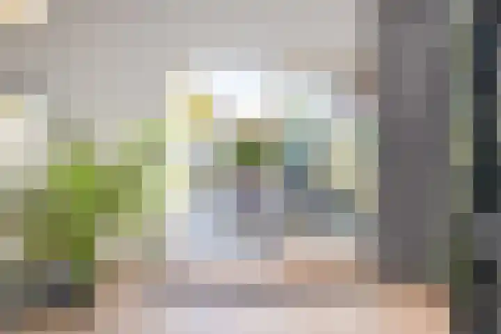 Dreeslaan 164 Naaldwijk thumbnail 18