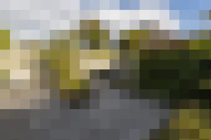 Dreeslaan 164 Naaldwijk thumbnail 20