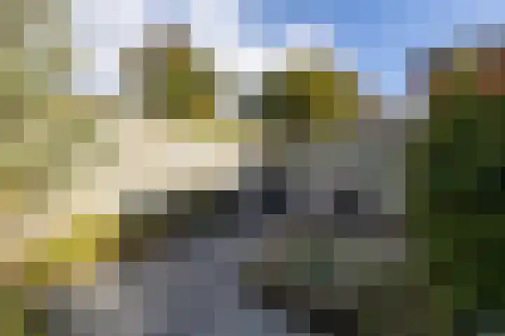 Dreeslaan 164 Naaldwijk thumbnail 21