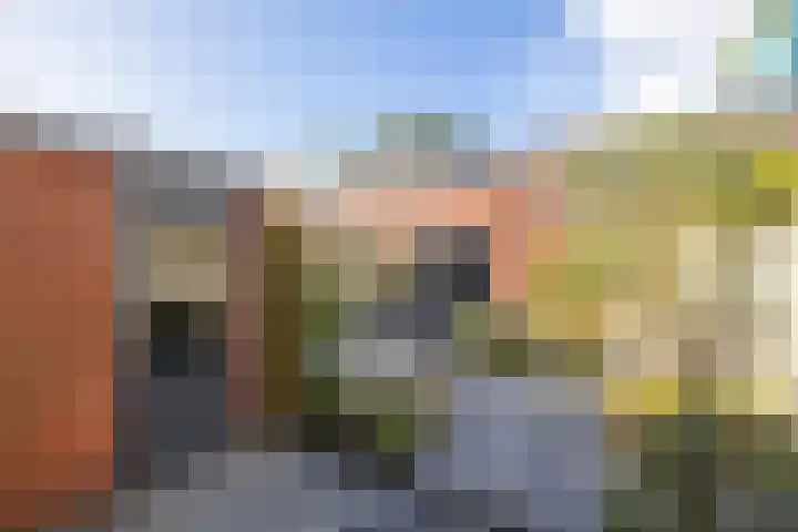 Dreeslaan 164 Naaldwijk thumbnail 22