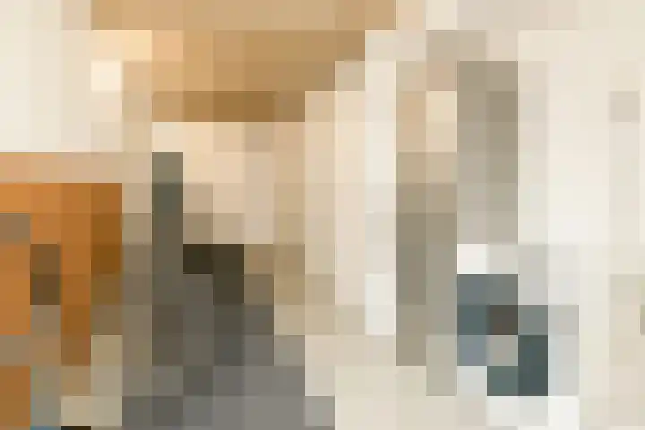 Dreeslaan 164 Naaldwijk thumbnail 25